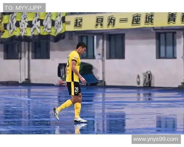 足球场上不文明行为球星:乱扔垃圾背后的社会责任与体育道德探讨 足球场上不文明行为球星:乱扔垃圾背后的社会责任与体育道德探讨