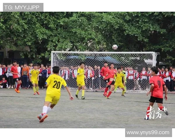 吴川足球星的崛起与中国足球未来发展的潜力探索