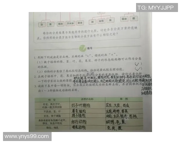解析球星足球天赋的奥秘 揭示影响球员表现的关键因素 解析球星足球天赋的奥秘 揭示影响球员表现的关键因素