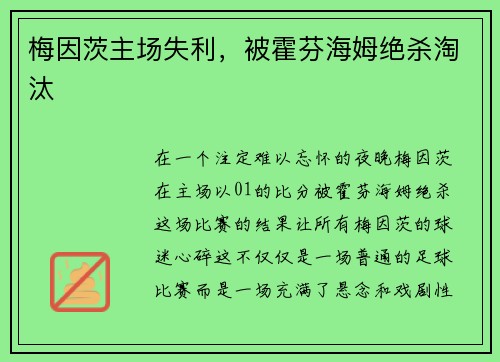 梅因茨主场失利，被霍芬海姆绝杀淘汰