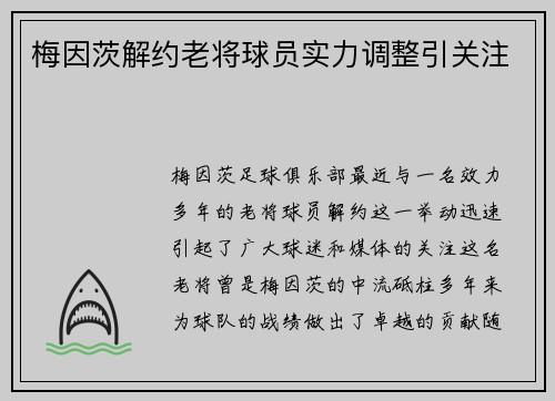 梅因茨解约老将球员实力调整引关注