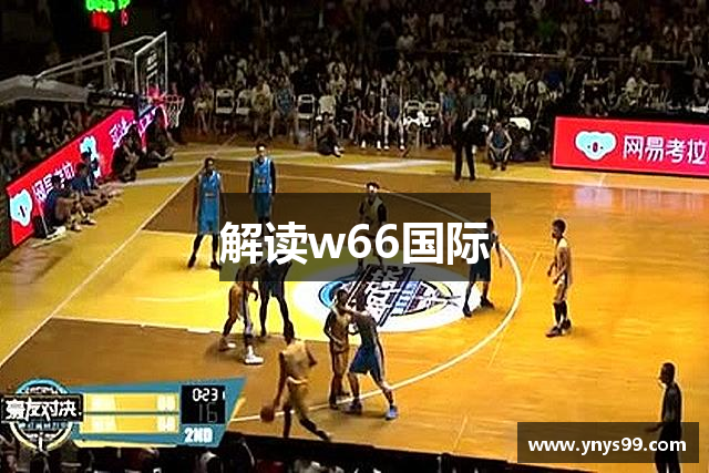 解读w66国际